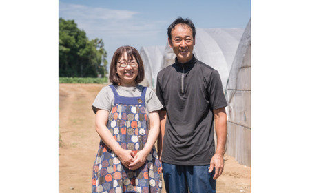 黒小玉スイカ（あんみつ姫）　2玉（2.5kg～3kg×2玉）