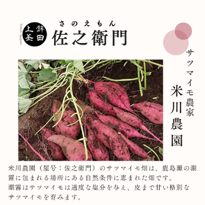 佐之衛門の焼き芋　6種食べ比べセット　Sサイズ8～9本（1kg程度）