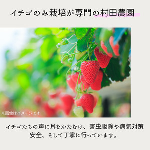 村田さん家の冷凍いちご(1kg)