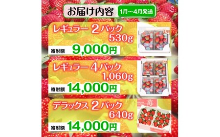 【1月発送】とちおとめ(レギュラーサイズ)4パック