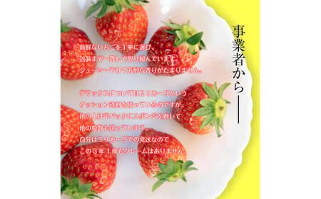 【1月発送】とちおとめ(レギュラーサイズ)4パック