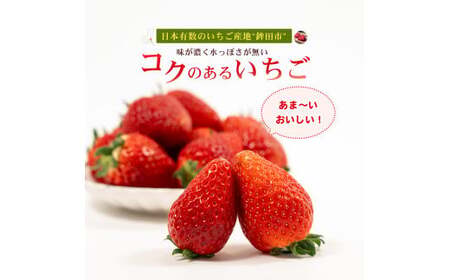 【1月発送】とちおとめ(レギュラーサイズ)4パック