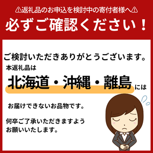 【1月発送】とちおとめレギュラー 250g×8パック