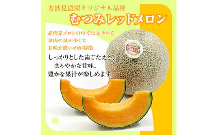 【来年2026年】先行予約！茨城県鉾田市産 むつみレッドメロン（1.2kg以上×3～5個）