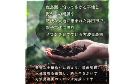 【来年2026年】先行予約！茨城県鉾田市産 むつみレッドメロン（1.2kg以上×3～5個）