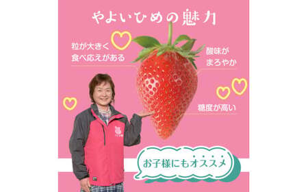 【3月発送】畑のいちご 「やよいひめ」 デラックス2箱