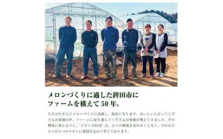 クインシーメロン（4玉入り1箱）計4.8kg前後