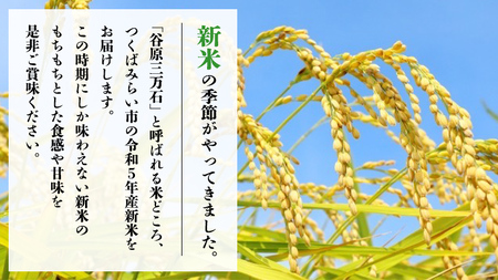 9月30日 で受付終了 / 3月上旬 在庫限り 】《 令和5年産 新米 》茨城県