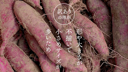 【 訳あり 】 さつまいも ！ 紅はるか 5kg サツマイモ 芋 いも べにはるか 茨城 美味しい おいしい ワケアリ 訳アリ