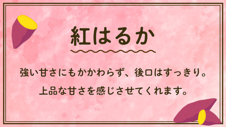 【 先行予約 】 茨城県産 紅はるか 3kg サイズS～2L さつまいも サツマイモ 紅はるか