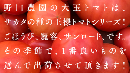 野口農園! 王様トマト 約2kg ( 8~12個入り )!