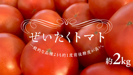 ぜいたくトマト！約2kg ( 9個～12個 ) トマト 大玉トマト 新鮮 美味しい 野菜