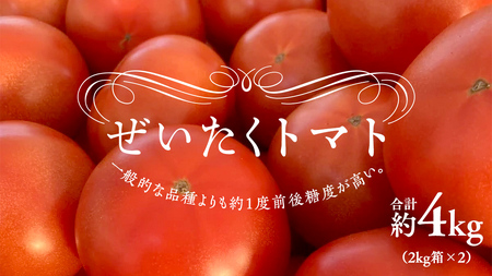 ぜいたくトマト！ 約2kg × 2 合計 約4kg ( 18～24個 ) トマト 大玉トマト 新鮮 美味しい 野菜