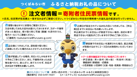 【 先行予約 】 【 数量限定 】 朝どれ【 たけのこ 】 3本 (合計1.5kg～2.0kg程度) 米ぬか 付き 産地直送 たけのこ 竹の子 筍 タケノコ 国産 煮物 炊き込みご飯 旬 季節もの 朝採れ 朝掘り