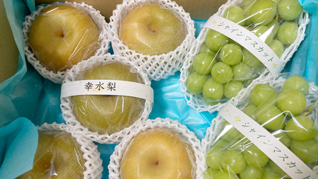 ふるさと納税 梨 茨城県 常陸太田市 先行予約 2025年 梨 幸水 約5kg 11 