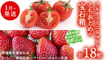 とちおとめ と フルーツミニトマトの宝石箱 18粒【1月から発送開始】（茨城県共通返礼品 [いちご]：城里町産　[トマト]：つくばみらい市産）