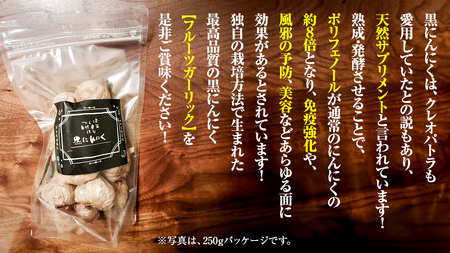 黒にんにく ( フルーツガーリック ） 詰め合わせ 250g （10〜13個） にんにく 黒ニンニク ガーリック 有機栽培 オーガニック