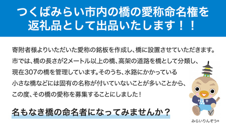 つくばみらい市 橋の愛称 命名権 （橋長5m～10m） 命名権 命名 橋 名づけ 権利 広告 ネーミングライツ