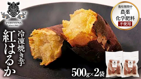 冷凍 焼き芋 1kg(500g×2袋) ギフト BOX 入 つくばみらい さつまいも 紅はるか いも 照沼 食物繊維 農薬不使用 化学肥料不使用 不使用