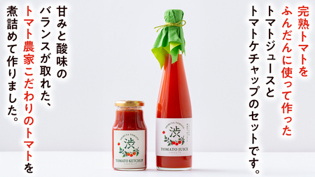 【 数量限定】【先行予約 】 -太陽の味- トマトジュース・トマトケチャップ各2本セット