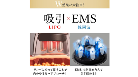 WAVEWAVE EMSスリムエステ EMS  痩身 エステ 美容 健康 引き締め 赤色LED 誕生日プレゼント プレゼント 誕生日