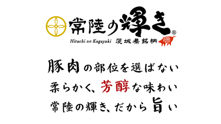【 常陸の輝き 】 豚 切り落とし＆挽肉 贅沢セット 各500g×2パック （合計約2kg） (茨城県共通返礼品) 