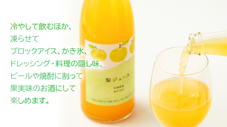 地元農家が作る つくばみらい市産 梨 を使った ジュース 720ml 2本セット 果汁100％ 