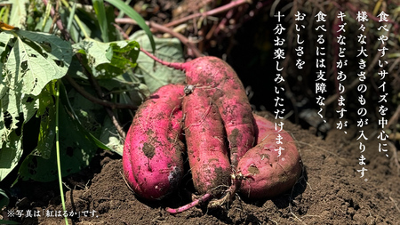 【茨城県産】さつまいも 紅あずま 3kg サイズ無選別品(土付き) 芋 サツマイモ 甘い 焼き芋 国産 おいしい 天ぷら 煮物 スープ 大学芋