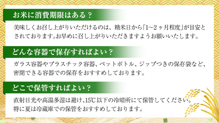 【 1月上旬発送 / 数量限定 】新米 茨城県産 コシヒカリ 精米 10kg (5kg×2袋） 令和6年産 こしひかり 米 コメ こめ 単一米 限定 茨城県産 国産 美味しい お米 おこめ おコメ