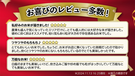 【 1月上旬発送 / 数量限定 】 茨城県産 コシヒカリ 精米 10kg (5kg×2袋） 令和6年産 こしひかり 米 コメ こめ 単一米 限定 茨城県産 国産 美味しい お米 おこめ おコメ