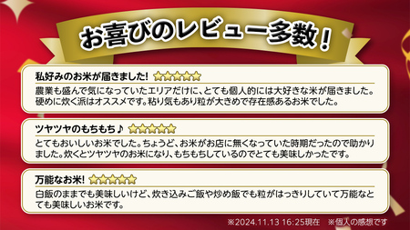 【 1月下旬発送 / 数量限定 】新米 茨城県産 コシヒカリ 精米 10kg (5kg×2袋） 令和6年産 こしひかり 米 コメ こめ 単一米 限定 茨城県産 国産 美味しい お米 おこめ おコメ