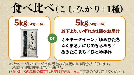 【 1月下旬発送 / 数量限定 】新米 茨城県産 2種 食べ比べ 精米 10kg (5kg×2袋） 令和6年産 こしひかり 米 コメ こめ 単一米 限定 茨城県産 国産 美味しい お米 おこめ おコメ