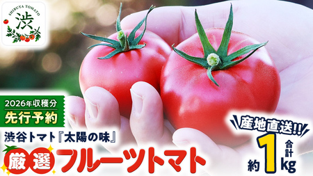 【 2026年 収穫分 先行予約 】 -太陽の味- 渋谷トマト 厳選　フルーツトマト 約1kg 2026年1月5日～発送開始