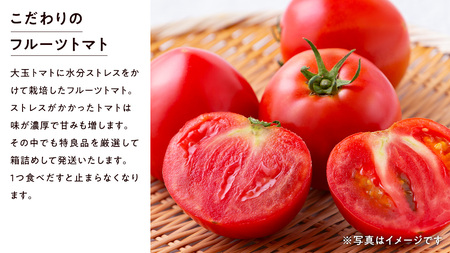 【 2026年 収穫分 先行予約 】 -太陽の味- 渋谷トマト 厳選　フルーツトマト 約1kg 2026年1月5日～発送開始