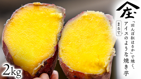 「田んぼ 紅はるか」で焼く、まるでアイスのような焼き芋 2kg(個包装) 