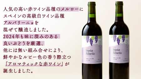 つくばみらい市産ぶどうを使った「 アロマティックな 赤ワイン 」2本入