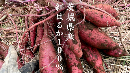 冷凍焼き芋 約2㎏ 【 茨城県産 紅はるか 】