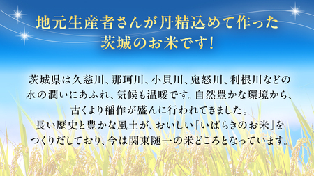 令和6年産 茨城県産 精米 もち米 ヒメノモチ 5kg （5kg×1袋） 白米 国産 美味しい 餅米 餅 もち 赤飯 おこわ 餅つき