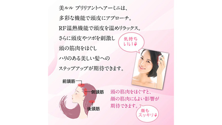 美ルル ブリリアントヘアーミニ（EMSリフトブラシ）ホワイト