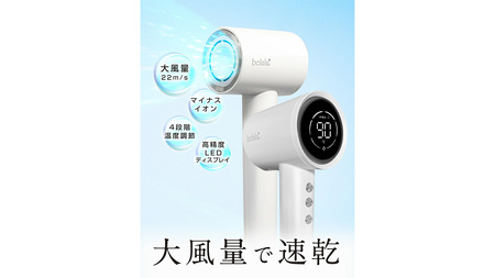 美ルル イオン ユーロス（速乾マイナスイオンドライヤー)　スノーホワイト