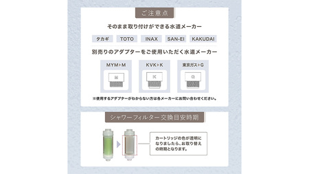 LINKA esthe アロマエッセンス ビタミンシャワーフィルター（ライム）