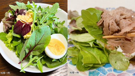 【 定期便 】3か月連続でお届け！ 黒澤農園 の ベビーリーフサラダ （ 80g × 4パック ）