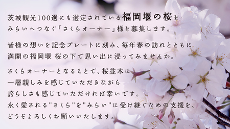 【 福岡堰 桜並木 】さくらオーナー募集 【 みらいりんぞう グッズセット・5年間・記念プレート設置】 桜 オーナー オーナー制度 権利 環境保全 自然保護 桜保全管理 地域貢献 祝 記念 記念撮影 写真撮影 記念写真 思い出 フォト 誕生 七五三 ウェディング 結婚 銀婚 金婚 入園 入学 卒業 栄転 定年 還暦 古希 喜寿 傘寿 米寿 白寿 百寿 長寿 願い 決意