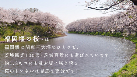【 福岡堰 桜並木 】さくらオーナー募集 【 みらいりんぞう グッズセット・5年間・記念プレート設置】 桜 オーナー オーナー制度 権利 環境保全 自然保護 桜保全管理 地域貢献 祝 記念 記念撮影 写真撮影 記念写真 思い出 フォト 誕生 七五三 ウェディング 結婚 銀婚 金婚 入園 入学 卒業 栄転 定年 還暦 古希 喜寿 傘寿 米寿 白寿 百寿 長寿 願い 決意
