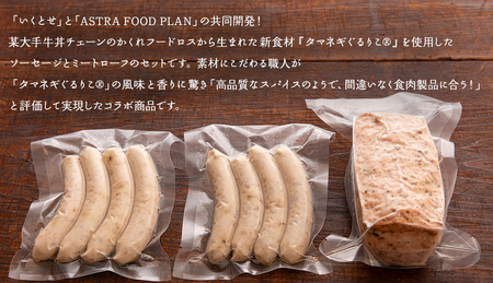 【2026年4月より順次出荷】職人が作る タマネギ香る！ジャーマンミートローフと無塩せき粗挽きソーセージ 味わいセット