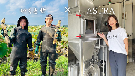 【2026年4月より順次出荷】職人が作る タマネギ香る！ジャーマンミートローフと無塩せき粗挽きソーセージ 味わいセット