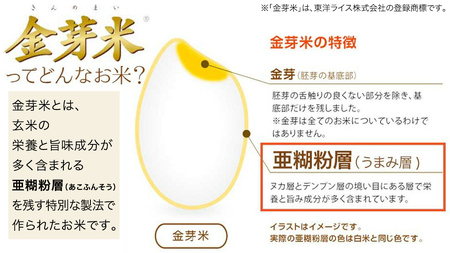 【 金芽米 ( 無洗米 ) 】＜1月下旬出荷＞ つくばみらい市産 コシヒカリ 5kg × 2袋 ( 計 10kg )