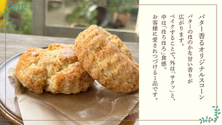 バター香る prisme.オリジナル スコーン 5個セット