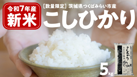 ＼ 新米先行予約 ／ 《 10月下期出荷 》 コシヒカリ 5kg 令和7年産精米 【 数量限定 】茨城県つくばみらい市産