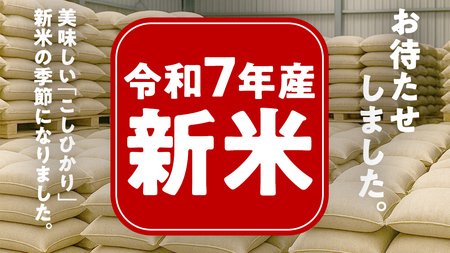 ＼ 新米先行予約 ／ 《 10月下期出荷 》 コシヒカリ 5kg 令和7年産精米 【 数量限定 】茨城県つくばみらい市産